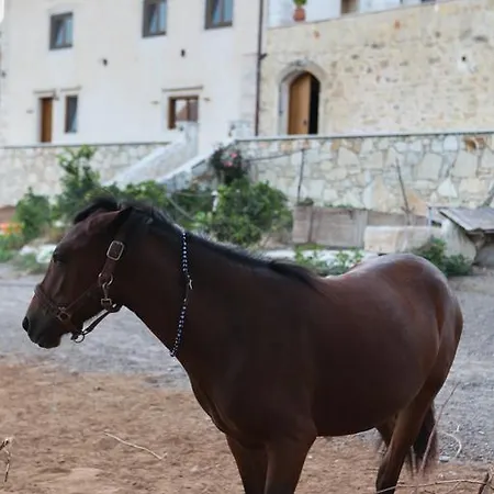 Holiday park Zouridi Park Rethymno (Crete)